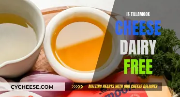 Tillamook Cheese: Dairy-Free or Not?