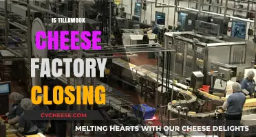 Is Tillamook Cheese Factory Closing? Debunking Rumors and Facts
