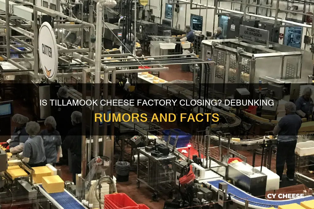 is tillamook cheese factory closing