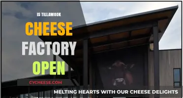 Is Tillamook Cheese Factory Open? Visiting Hours and Tips
