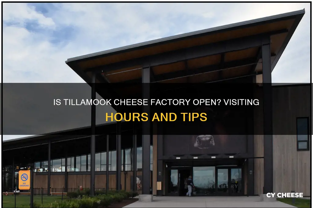 is tillamook cheese factory open