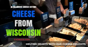 Tillamook Cheese: Wisconsin's Finest?