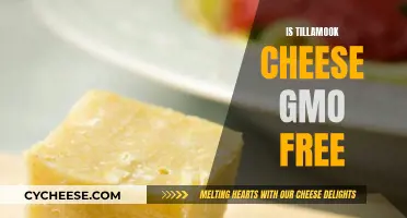 Tillamook Cheese: GMO-Free or Not?