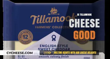 Is Tillamook Cheese Worth the Hype? A Tasty Review