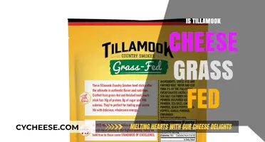 Is Tillamook Cheese Grass-Fed? Uncovering the Truth Behind the Brand