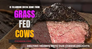 Grass-Fed Cow Cheese: Tillamook's Artisanal Process