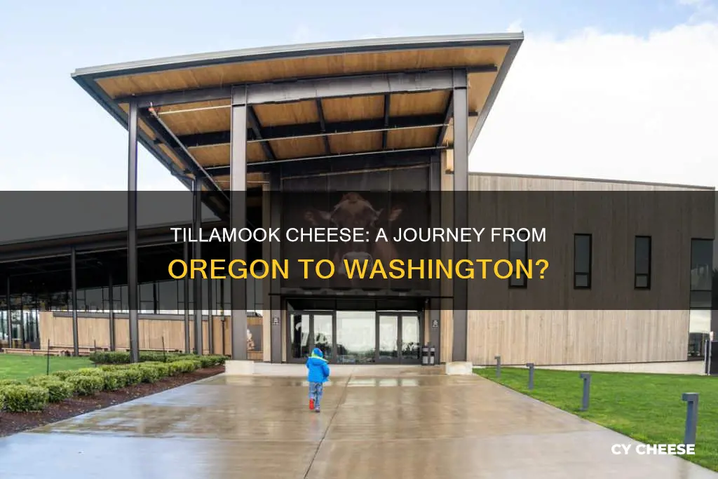 is tillamook cheese made in washington