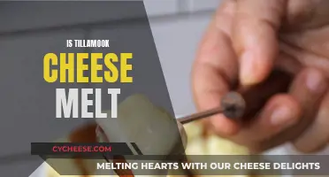 The Ultimate Melting Cheese: Tillamook's Magic