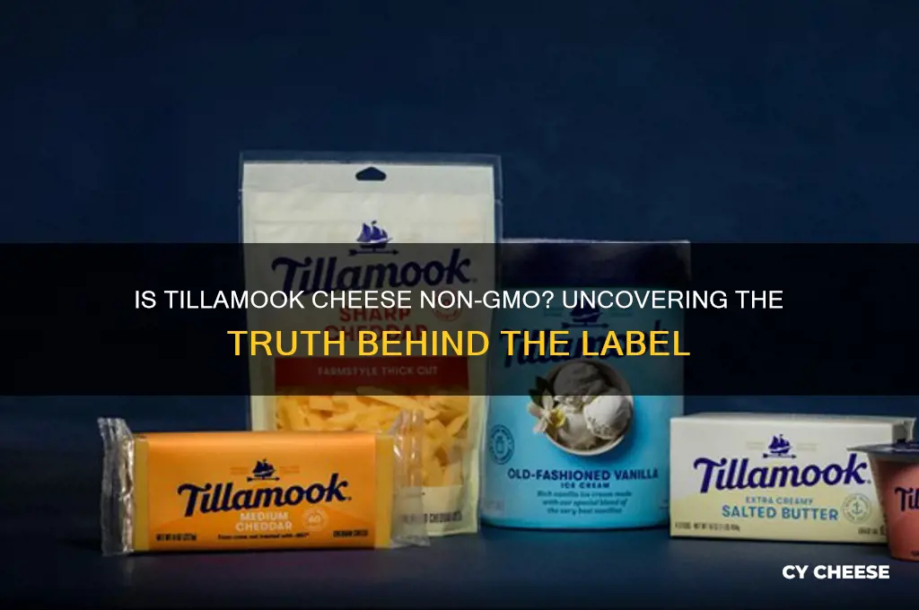 is tillamook cheese non gmo