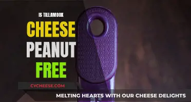 Tillamook Cheese: Peanut-Free Promise or Risk?