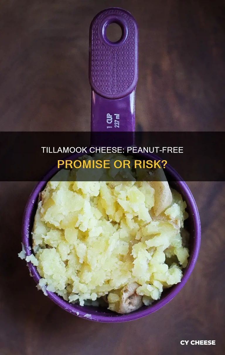 is tillamook cheese peanut free