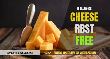 Tillamook Cheese: Free of rBST and Why It Matters