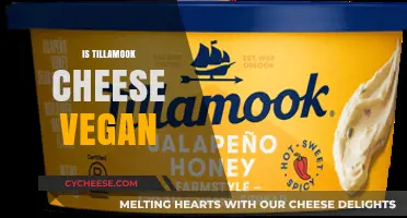 Is Tillamook Cheese Vegan? Exploring Ingredients and Alternatives