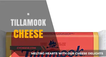 Is Tillamook Cheese Worth the Hype? A Tasty Investigation