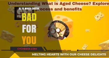 Is Too Much Cheese Harmful? Uncovering the Truth About Cheese Consumption