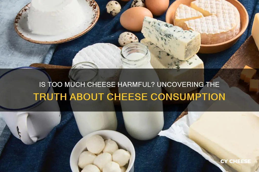 is to much cheese bad for you