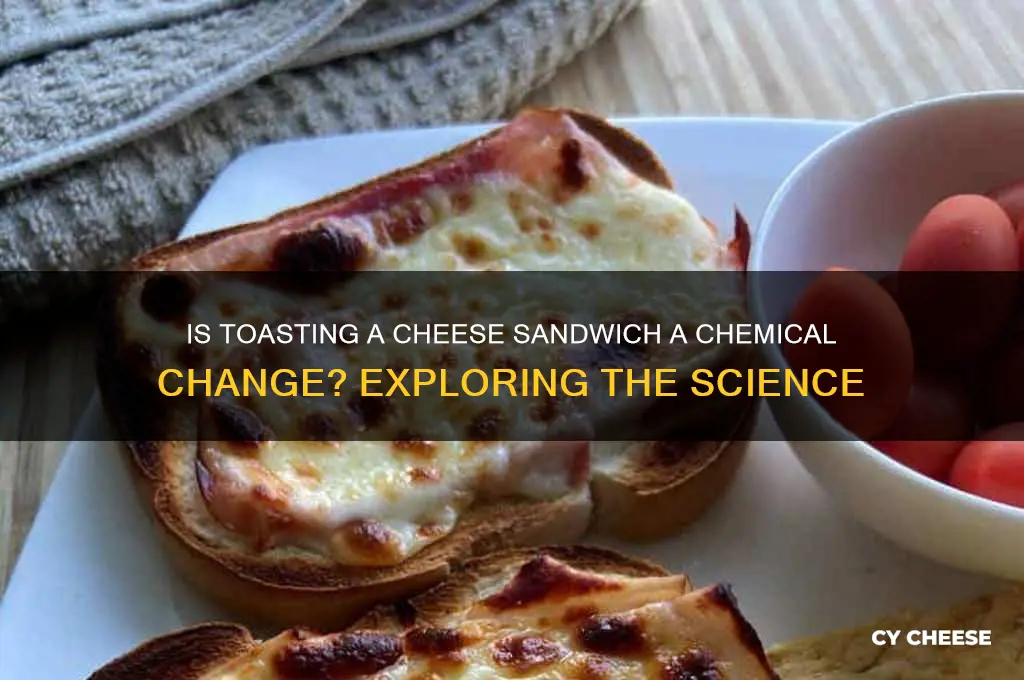 is toasting a cheese sandwich a chemical change