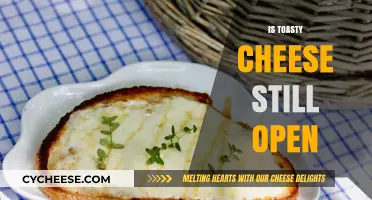Is Toasty Cheese Still Open? Latest Updates on the Beloved Spot