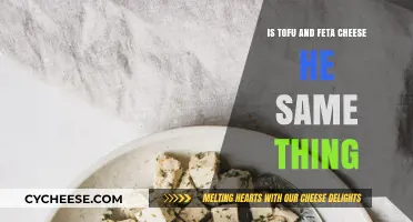 Tofu and Feta: Similarities and Differences