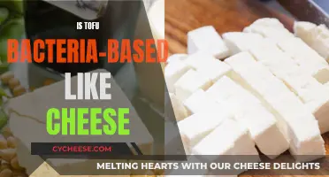 Tofu and Cheese: A Bacterial Culture Comparison