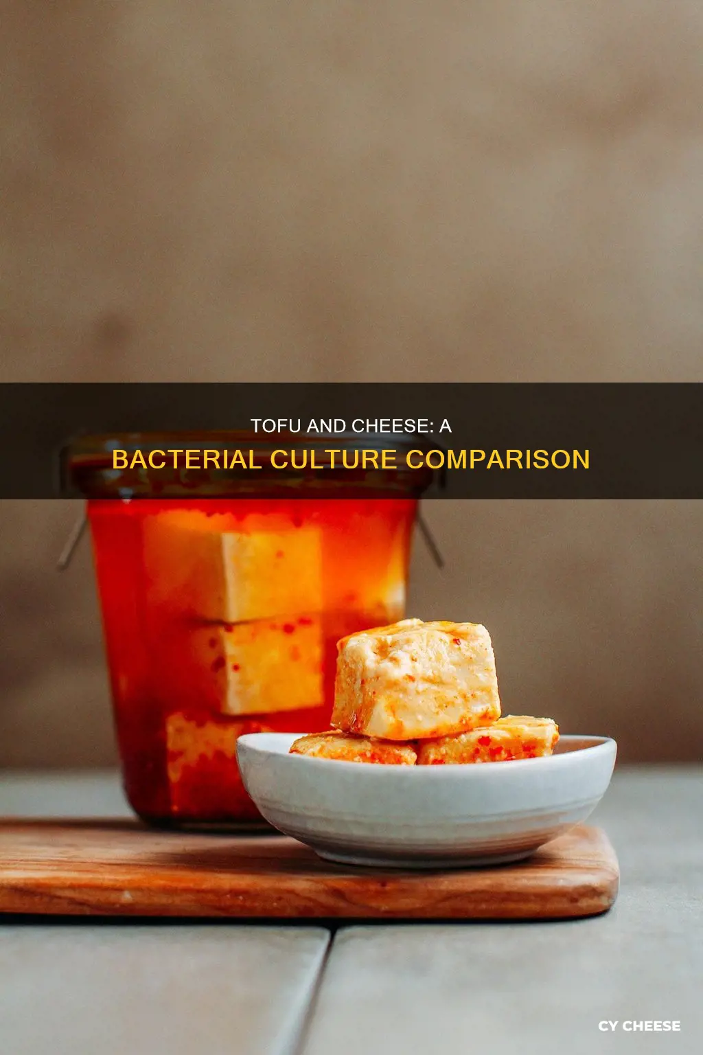 is tofu bacteria-based like cheese