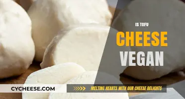 Is Tofu Cheese Vegan? Unraveling the Plant-Based Mystery