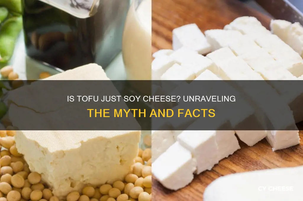 is tofu just soy cheese