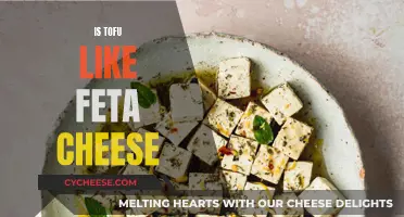 Tofu and Feta: Similarities and Differences Explored