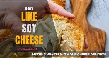 Tofu and Soy Cheese: What's the Difference?