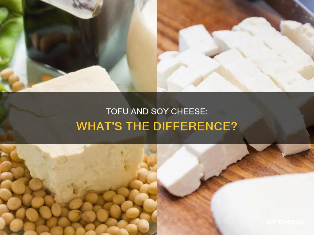 is tofu like soy cheese