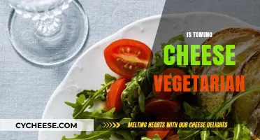 Is Tomino Cheese Vegetarian? Unraveling the Dairy Dilemma for Vegans