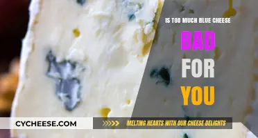 Is Blue Cheese Overindulgence Harmful to Your Health?
