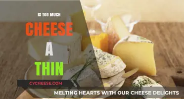 Is Too Much Cheese a Thin Line? Exploring Dairy's Impact on Health