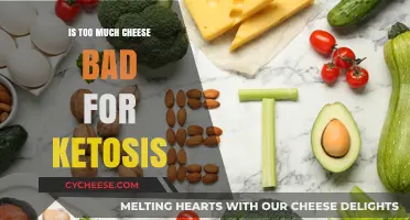 Can Excess Cheese Consumption Disrupt Ketosis? A Dietary Dilemma Explored