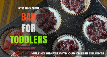 Is Too Much Cheese Harmful for Toddlers? Expert Insights