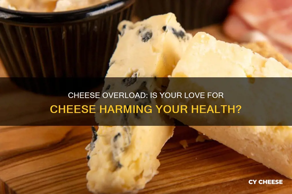 is too much cheese unhealthy