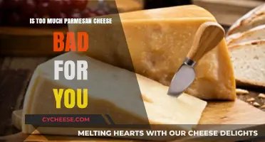 Is Excessive Parmesan Cheese Consumption Harmful to Your Health?