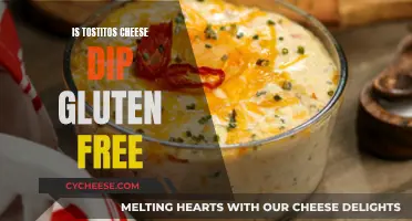Gluten-Free Cheese Dip: Tostitos Safe to Eat?