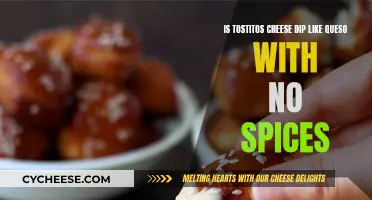 Tostitos Cheese Dip: Like a Plain Queso?