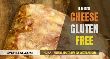 Gluten-Free Tostitos Cheese: What You Need to Know