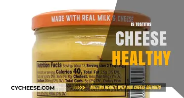 Tostitos Cheese Dip: Healthy or Not?