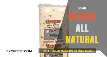 Is Toyer Cheese Truly All-Natural? Uncovering Ingredients and Processes