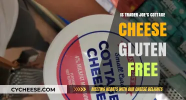 Trader Joe's Cottage Cheese: Gluten-Free or Not? Find Out Here