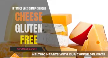 Trader Joe's Cheddar: Gluten-Free Cheese Delight