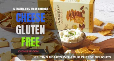 Trader Joe's Vegan Cheddar: Gluten-Free or Not?