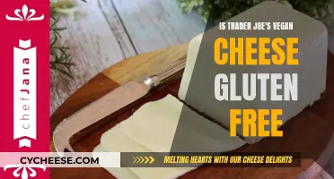 Trader Joe's Vegan Cheese: Gluten-Free Options