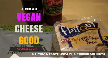 Trader Joe's Vegan Cheese Review: Is It Worth the Hype?