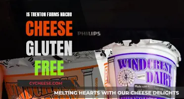 Trenton Farms Nacho Cheese: Gluten-Free Indulgence