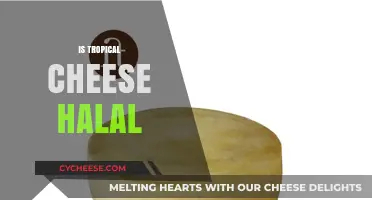 Is Tropical Cheese Halal? Exploring Ingredients and Certification