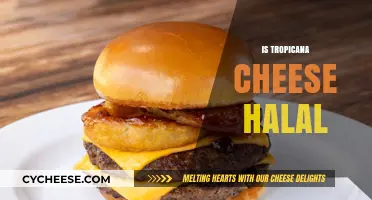 Is Tropicana Cheese Halal? A Comprehensive Guide for Muslim Consumers